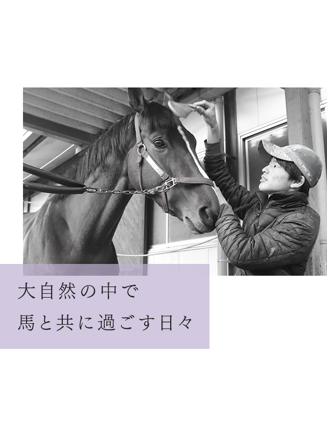 大自然の中で馬と共に過ごす日々