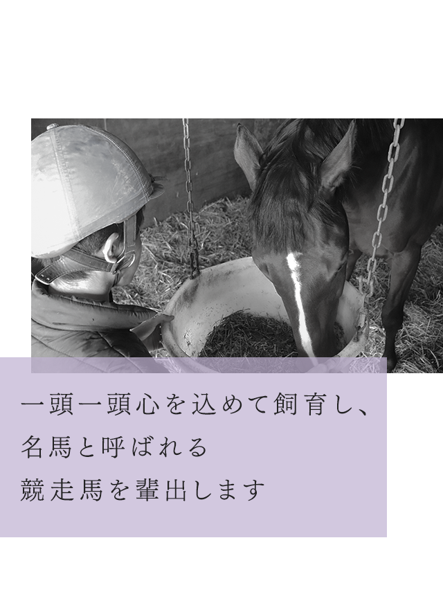 兵庫県西脇市 園田 姫路の競走馬調教師は柏原厩舎 求人募集中